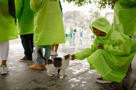 Катерина Хербер-Мосяга, Go Influence